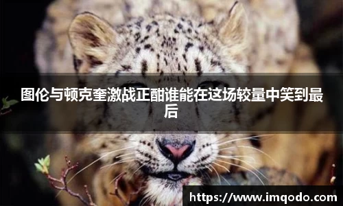 图伦与顿克奎激战正酣谁能在这场较量中笑到最后