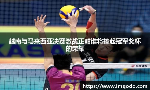 越南与马来西亚决赛激战正酣谁将捧起冠军奖杯的荣耀